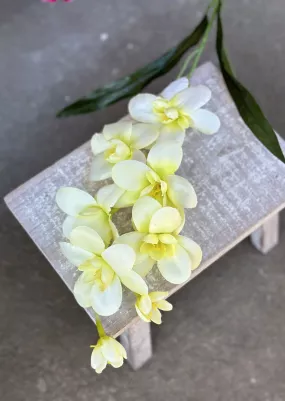 Orchidea konár 64cm (z toho len kvety 30cm, plus listy) textilné kvety, stonka plast, zelenkavá