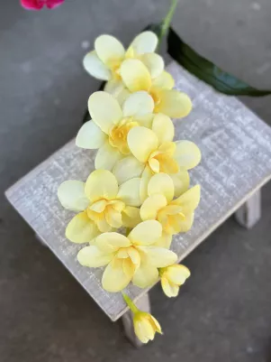 Orchidea konár 64cm (z toho len kvety 30cm, plus listy) textilné kvety, stonka plast, Žltá 