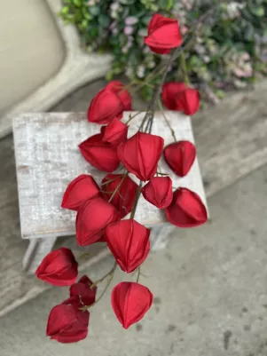 Physalis konár, TOP kvalita, 98cm (z toho len physalis 47cm) kvet textilný, červený 