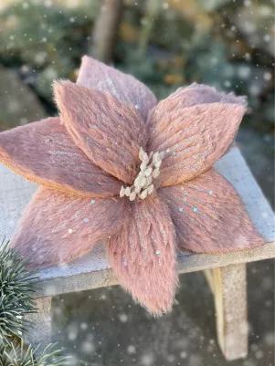 Kožušinový kvet, roztiahnutý 23 cm