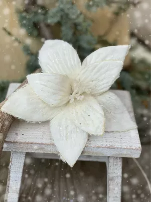 Kožušinový kvet, roztiahnutý 23 cm, Ivory 