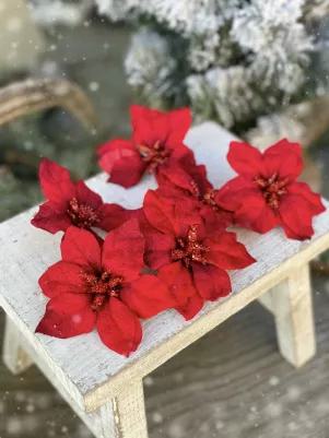 Vianočná ruža bez štipca zamatová, 9 cm, 6 ks, červená