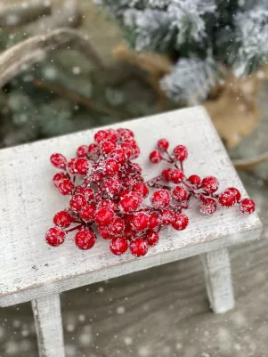 Jarabina červená zasnežená 12 ks mini konáriky 