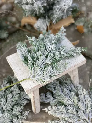Zasnežená Tuja 37 cm TOP kvalita 