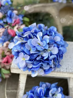 Hortenzia extra hustá 18 cm Hortenzia, hlavička modrá, TOP kvalita 