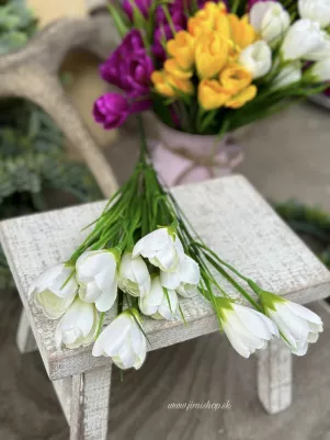 Kytička krokus 35 cm, 10 x kvet strávou, biela