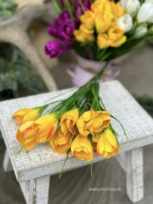Kytička krokus 35 cm, 10 x kvet strávou, žltá 