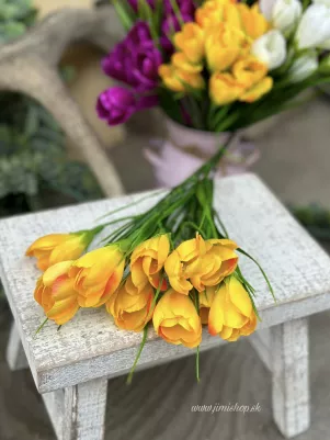 Kytička krokus 35 cm, 10 x kvet strávou, žltá