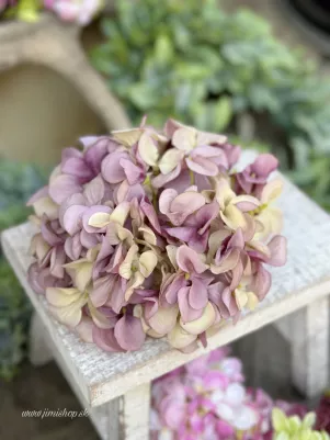 Hortenzia extra hustá, 18 cm Hortenzia, hlavička fialovo ružová, TOP kvalita 