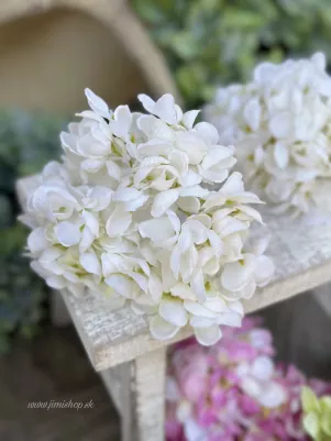 Hortenzia extra hustá, 15 cm, menší kvet, TOP kvalita, biela 