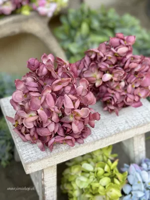 Hortenzia extra hustá, 15 cm, menší kvet, TOP kvalita, staroružová tmavšia 