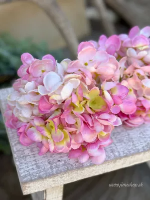 Hortenzia extra hustá, 15 cm, menší kvet, TOP kvalita, svetlo ružová
