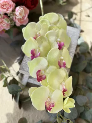 Orchidea konár (textil+plast) 92 cm z toho len kvet 37 cm, zelená