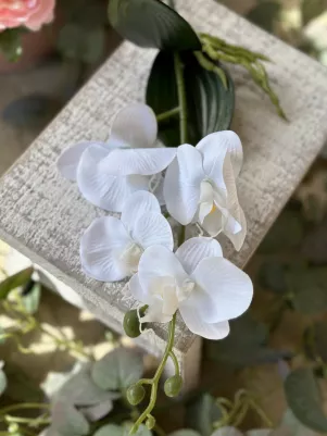 Orchidea menšia, konár s koreňom  (textil+plast) 37 cm, biela (listy gumené) 