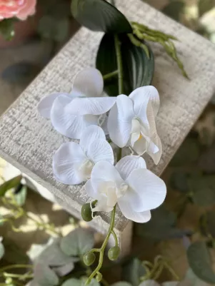 Orchidea menšia, konár s koreňom (textil+plast) 37 cm, biela (listy gumené)