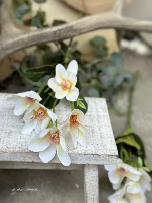Magnolia konár 59 cm (z toho kvet a listy 27 cm) kvet v TOP kvalite, biela