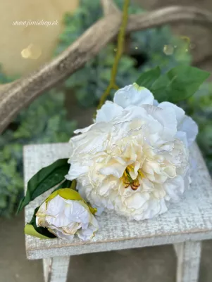 Nádherná PEONIA s pukom (ako živá) na konáriku 49 cm, (kvet hlavička textilný 14 cm) biela