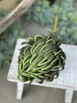 Protea penová, zelená TOP kvalita, 82 cm (len protea 19 cm) zelená