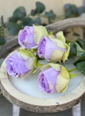 Ruža (ako živá) 58 cm, hlavička textilná 7,5 cm, cena za 1 ks, fialová 