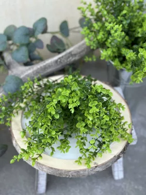 Eukalyptus Kytička, mini lístky, extra hustý, 30 cm, plast