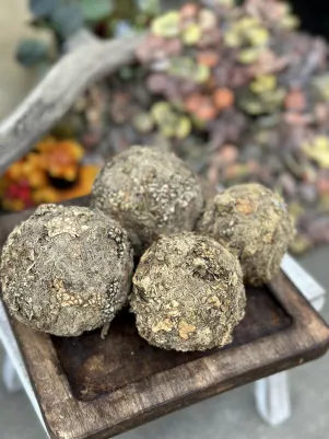 Guľa kôra s hnedým machom 7 cm, cena za 1 ks 