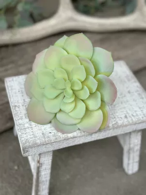 Sukulent (plast pogumovaný) vzhľad ako živý, 15 cm, Mint-ružový, plochý