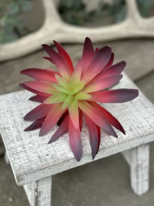 Sukulent (plast pogumovaný) vzhľad ako živý, 15 cm, výška 8 cm, ružovo červený 