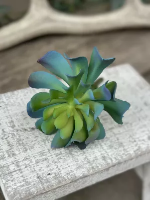 Sukulent (plast pogumovaný) vzhľad ako živý, 11 cm, výška 7 cm, zeleno tyrkysový 