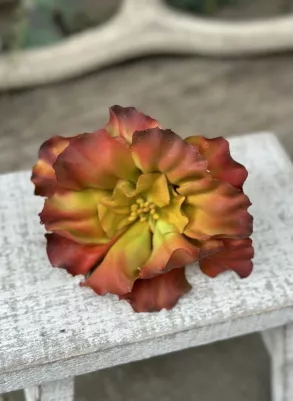 Sukulent (pogumovaný) vzhľad ako živý, 13 cm, výška 7 cm, TOP kvalita, bordový