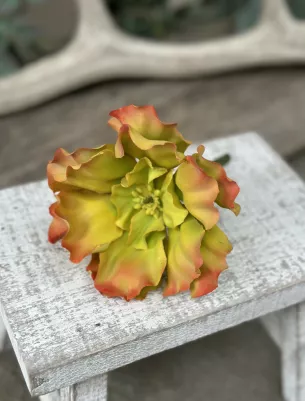 Sukulent (pogumovaný) vzhľad ako živý, 13 cm, výška 7 cm, TOP kvalita, Oranžový 