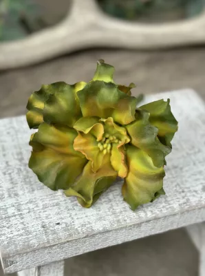 Sukulent (pogumovaný) vzhľad ako živý, 13 cm, výška 7 cm, TOP kvalita, Zelený 