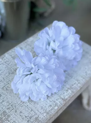 Chryzantéma, balenie 24 ks, 8 cm, textilná, biela 