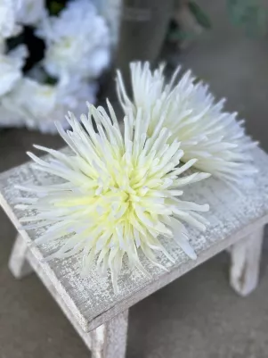 Chryzantéma, balenie 12 ks, 13 cm, textilná, Ivory 
