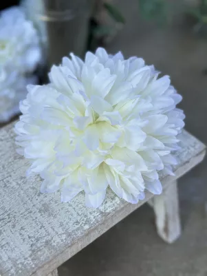 Chryzantéma, balenie 12 ks, 15 cm, textilná, ivory