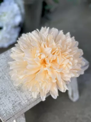 Chryzantéma, balenie 12 ks, 13 cm, textilná, Marhuľa 