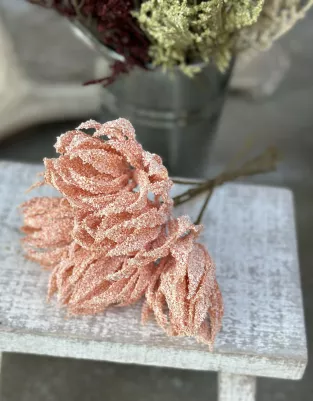 Protea 5x kvet na stonke, jemne Marhuľová, TOP kvalita, 25 cm, kvet 8 cm 