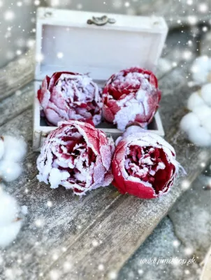 Vianočná pivonka zasnežená 9 cm, cena za 4 ks, červená (len hlavička, bez štipca)