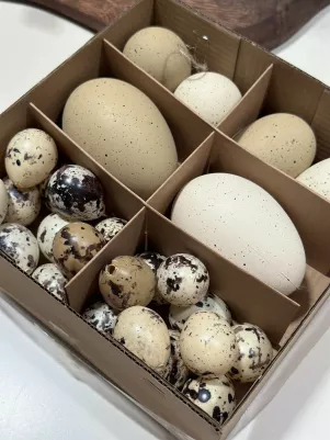 Vajíčka plastové  26ks, mix veľkosť 8-6-3 cm, Natur 