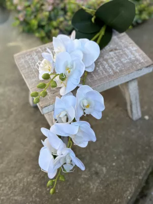 Orchidea biela pogumovaná, ako živá, TOP kvalita, s listami a koreňom, 48cm 