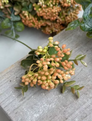 Zápich drobné bobule s eukalyptom, 33cm (z toho len bobule 8cm), marhuľa
