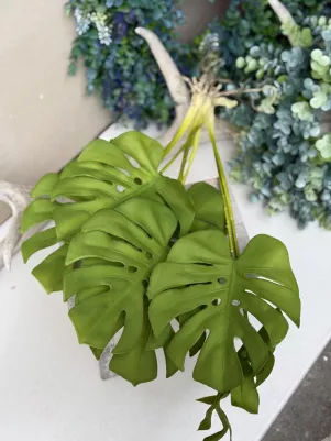 Monstera zápich (ako živá) s koreňom, plast + guma, listy 10cm, 42cm aj s koreňom