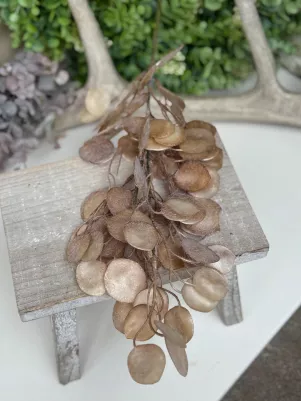 Eukalyptus konár striekaný, 71cm (z toho len listy 35cm), striekaný plast, hnedý perleťový 